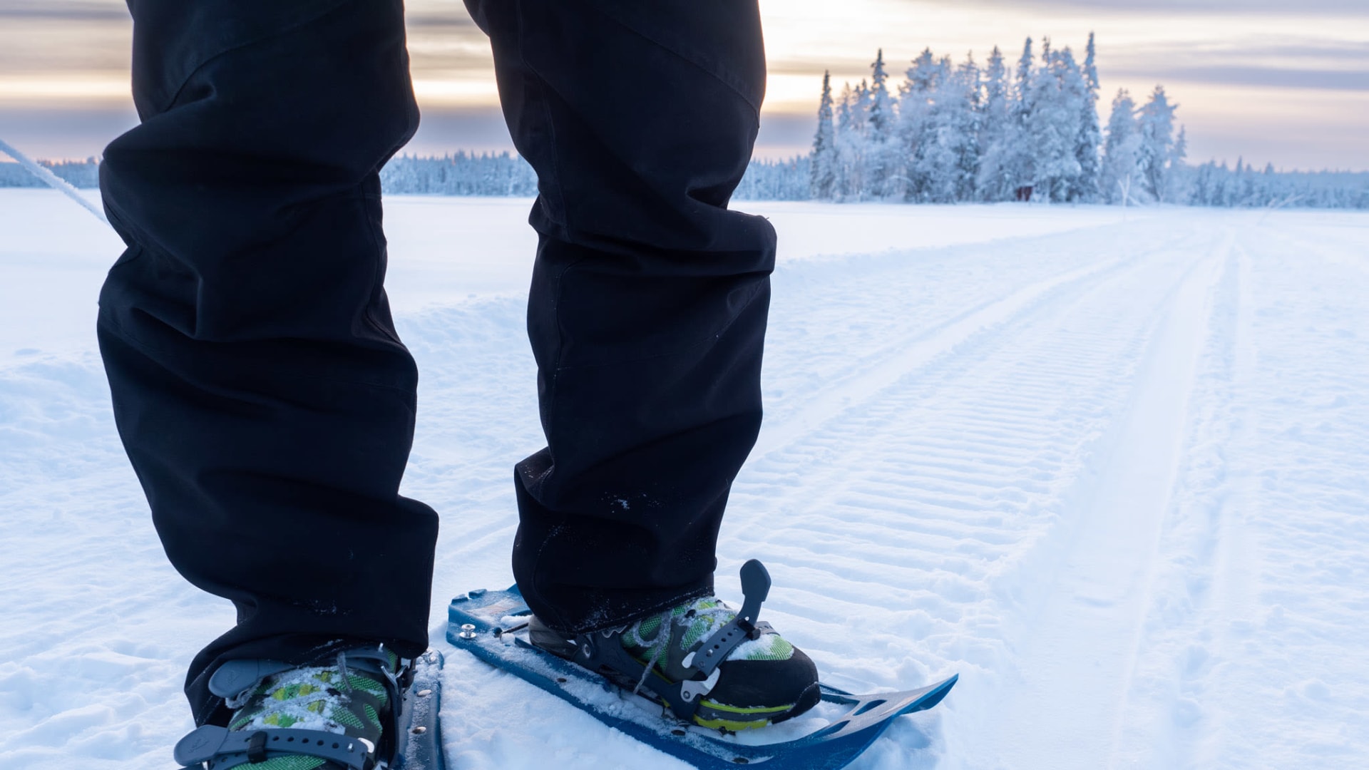 Schneeschuhwanderung